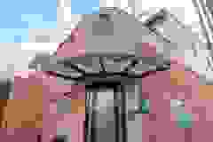 125532460_2446125755681167_8338292811986614240_n_17925871033457602