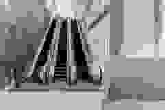 126062762_215975586820823_2855756063169695906_n_17866531262115552