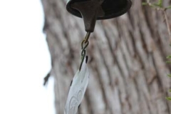 IMG_3305-14956183066