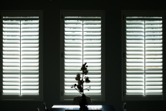 MG_0090-2